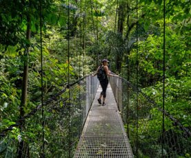 Costa Rica Tour