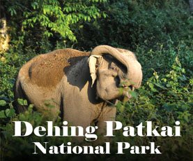 Dehing Patkai