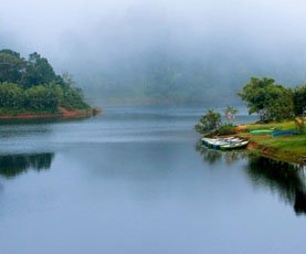 Dehing Patkai National Park